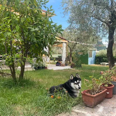 Capitan Libeccio Holidays - La Prua 아파트