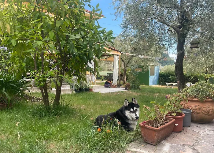 Capitan Libeccio Holidays - La Prua Apartamento